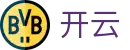 开云(中国)Kaiyun·官方网站-科技股份有限公司